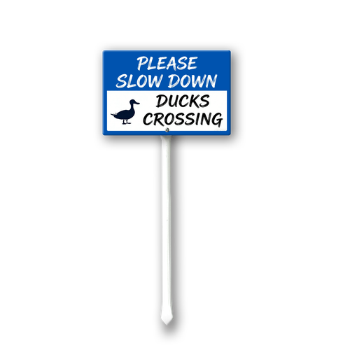 SL13.png