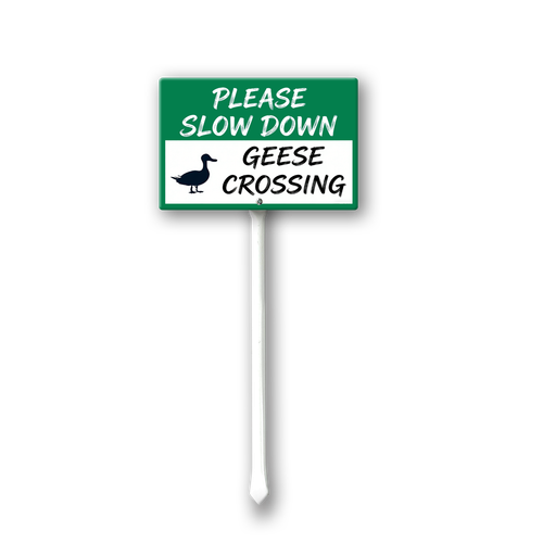 SL9.png
