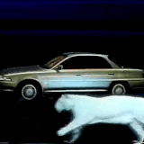 Tumblr l 177515187916503.gif