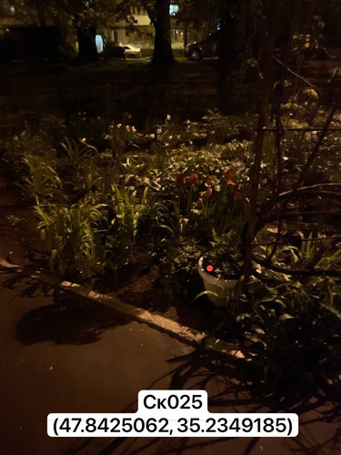 photo.jpg