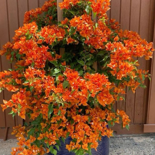 Untitled design 2025 12 09T151010.374.jpg