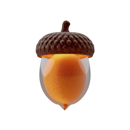 e897f801a49f.png