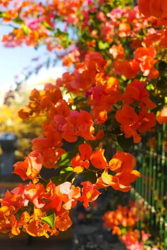 61m4ysmjhvL. AC UF1000,1000 QL80 .jpg