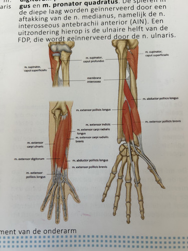 a30a1585187e.jpg