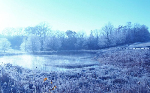 cold winter day foa91hvy5rm6rfeo.jpg