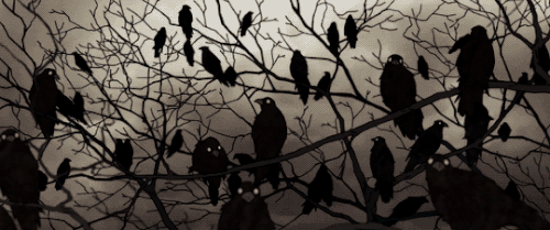 1000006902.gif