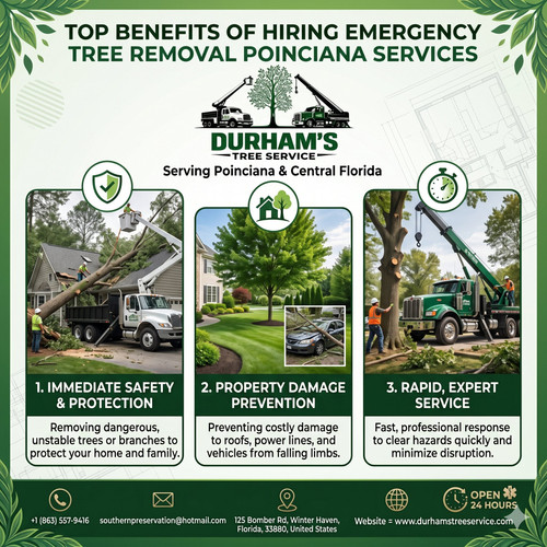 Top Benefits of Hiring Emergency Tree Removal Poinciana Services.jpg