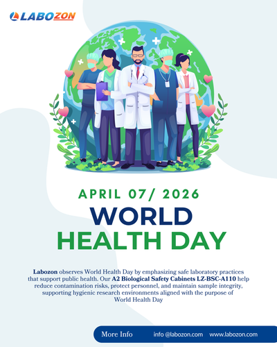 World Health Day.png