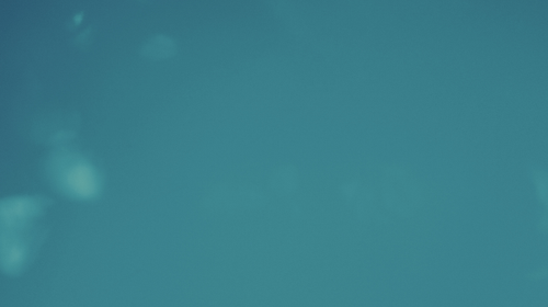 temp.png