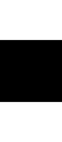 bri.png