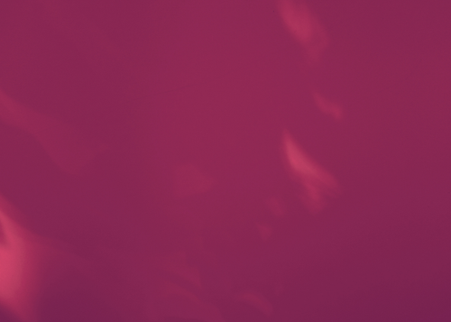 temp.png