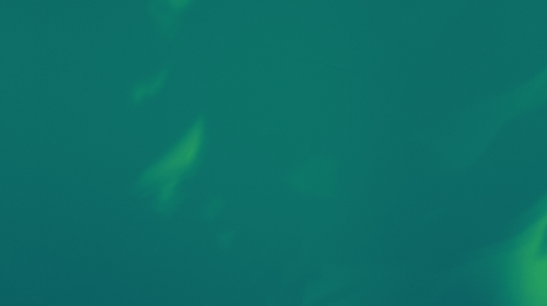 temp.png