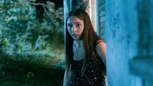 from 1x7.jpg