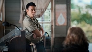from 1x9.jpg