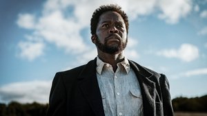 from 1x1.jpg