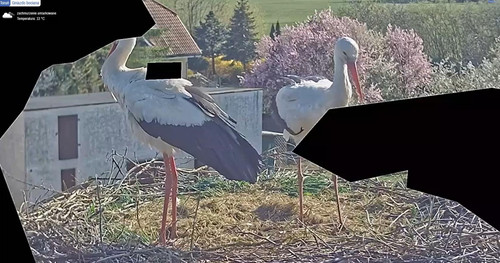 MWSnap623.jpg