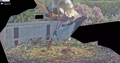 MWSnap622.jpg