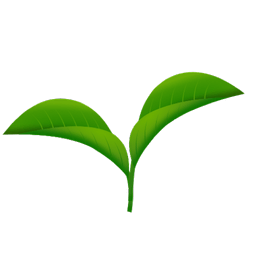 leaves.png