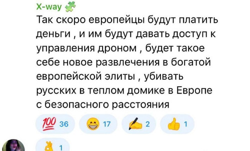file 113.jpg