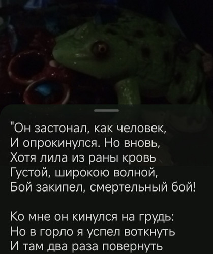 1000004827.jpg