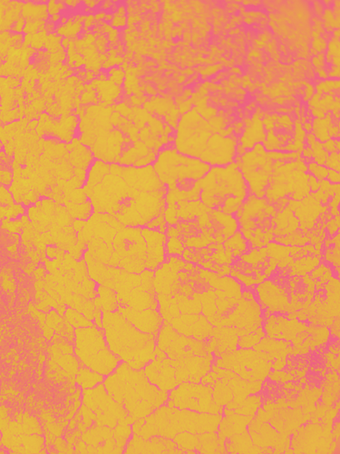 temp.png
