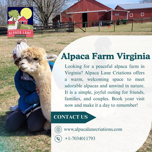 Alpaca Farm Virginia Visits at Alpaca Lane Criations (1).jpg