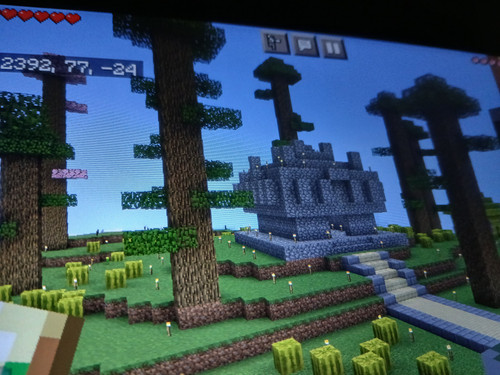 1000011981