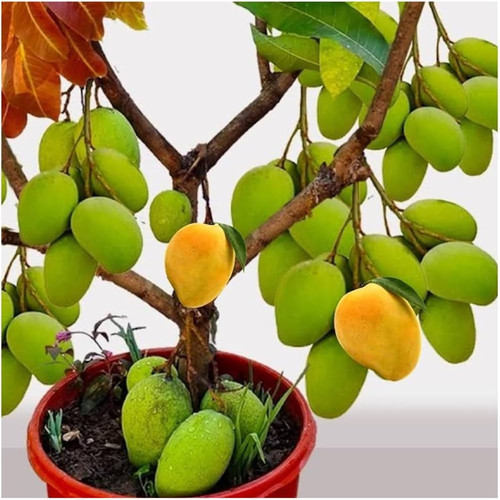 61LcYzrXZPL. AC UF1000,1000 QL80 .jpg