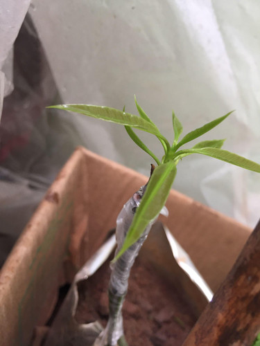 tO8w 8SFlUcT0m1ojl3d bcUqqVQyJEPF2PpCOUm2vGBQiWUeJLFO9dP8 LRhCH5CHEx0gdHq90FHEOiYOYYt1rE5PCSrWJ xDj0.jpg