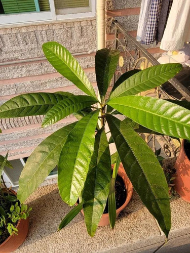 QRObW6UyQ9z3FW2aa8MDkyfh485jrJ1BeECYgH2 NyB6TnuMPJsf9omR2wS7cYmlf44Mazn7HBB1pS i6wrL8pmZvInSGhGaIQbD.jpg