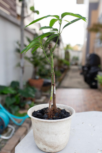 dLA4oe1dMdlkkRYKWF gjhWw3M3o350ifIczJxyIV4WZfBc3MHK6FDxFLpPVHEMpVBNjyA6vmKRFskGR9cIr1NqOMI4G2VD0QA9z.jpg