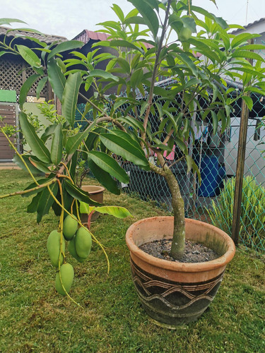 TRiHMhQMVUpM7XDJ6Iyra eelTjFqPs9BElo42czYy0FqcEc0oxMLZhKM29ZeG kJXGKhAdaUeRYCEVJ4Ovlg1jX5uMyBUpbX28J.jpg