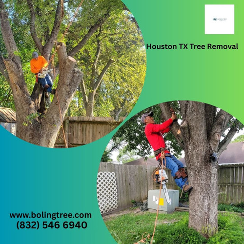 Add Boling Tree Service image.jpg