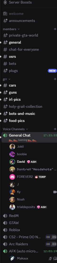 Discord UcpNo6dTuL.png