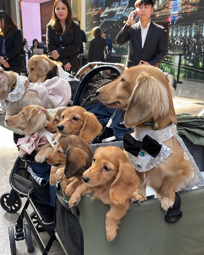 kylekuznik 1742217266 3590301108229453455 1204510304.jpg