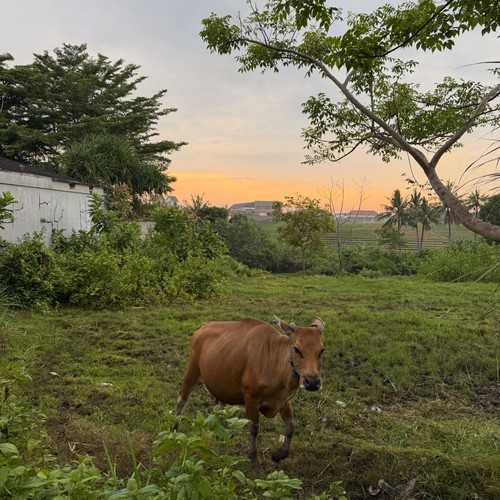 kylekuznik 1767101626 3799046254177848993 1204510304.jpg