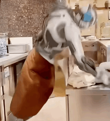 VideoToGif GIF.gif