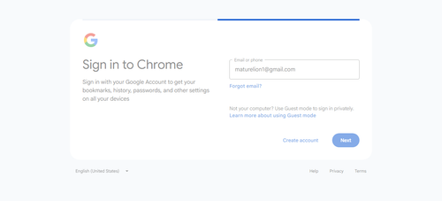 2026 04 20T21 32 51 400Z GOOGLE email entered password.png