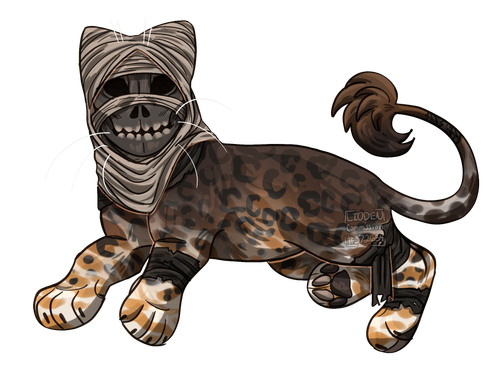 IMG 5658.png