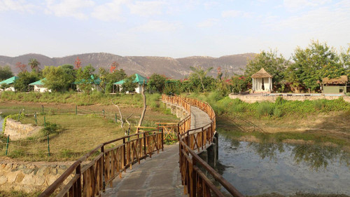 Resorts in Sariska: Your Gateway to Peaceful Getaways.jpg