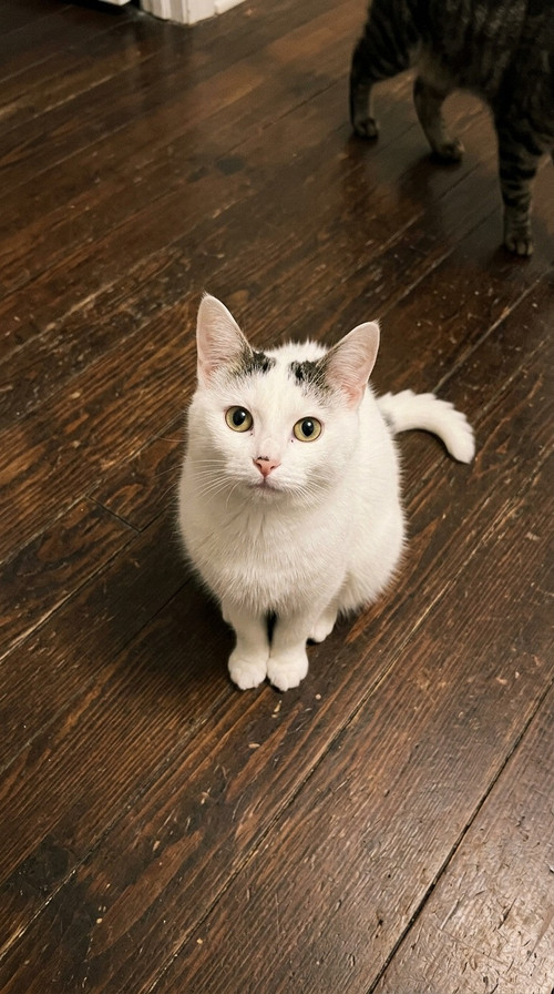 675543145 122224162232322174 4663582705492484247 n.jpg