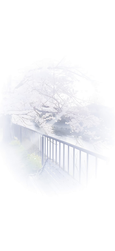 image 1776814061365.png