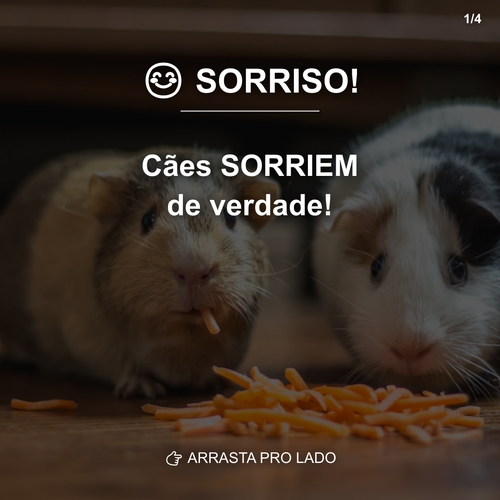 carousel 1776816007164 slide1.png