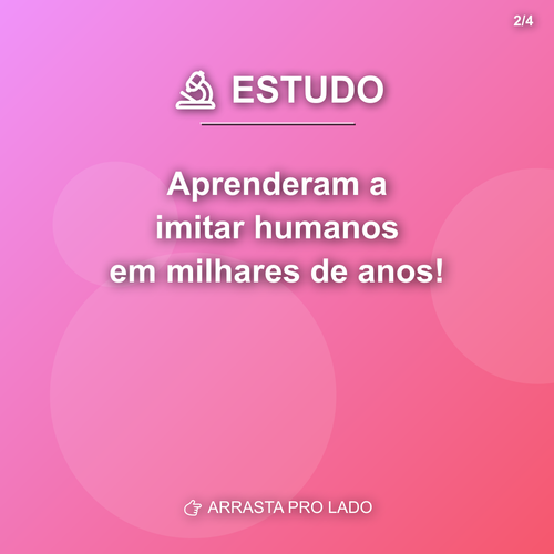 carousel 1776816007606 slide2.png