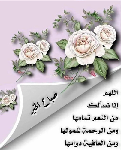 IMG 20260324 WA0000.jpg