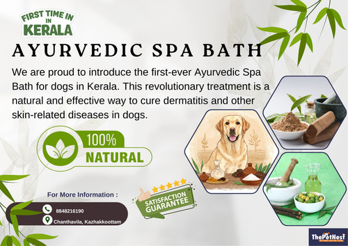 491949714 122173257122298105 5802187684646551178 n (2).jpg