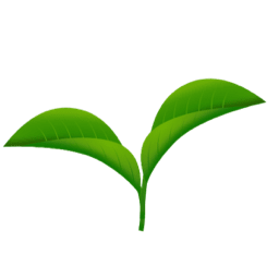 plant.png
