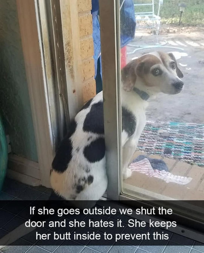 image 2026 04 21T152835.542.png