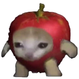 130b1c328a72.png
