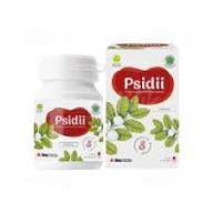 PSIDII 4.jpg